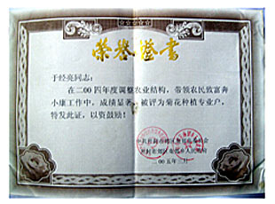 荣誉证书2.jpg