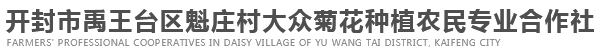 开封市禹王台区魁庄村大众菊花种植农民专业合作社